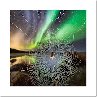 Spider under Northern Lights Posters and Art